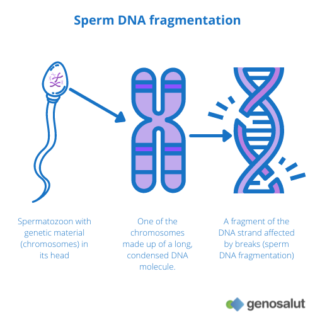 Treatment For Sperm DNA fragmentation, Affordable homeopathy clinic in Mayiladuthurai for men